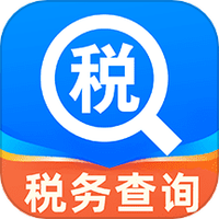 电子税务查询