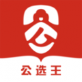 公选王遴选