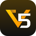 V5Item