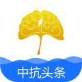 中抗头条