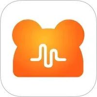 NN