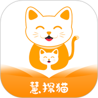 慧探猫