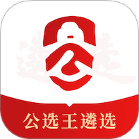 公选王遴选