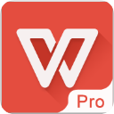 WPS政企版