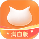 飞猫盘