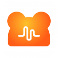NN