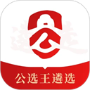 公选王遴选网