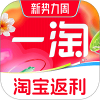一淘