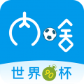 内啥