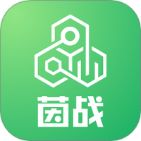 茵战
