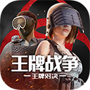王牌战争九游版