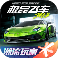 极品飞车集结