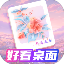 好看桌面安卓版