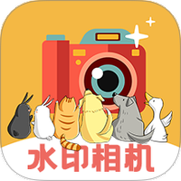 水印P图