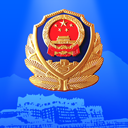 西藏公安政务服务平台