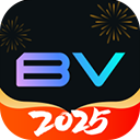 Bigverse