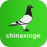 中信网