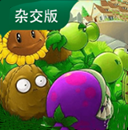 植物大战僵尸杂交版