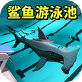 奇怪游泳池
