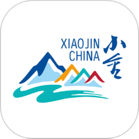 纯净小金