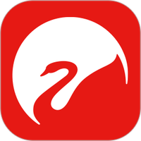 Swan Audio