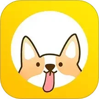 每日计划