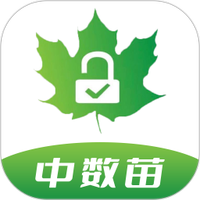 中数苗