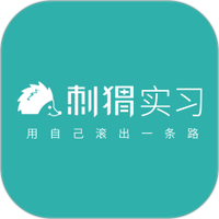 刺猬实习