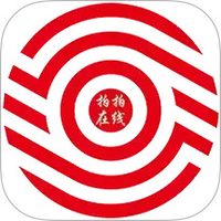 拍拍在线