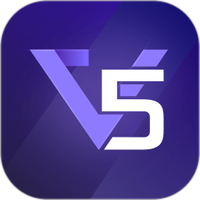 V5Item