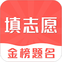 高考志愿在线填报