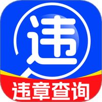 123违章迅查