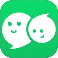 微X分身版