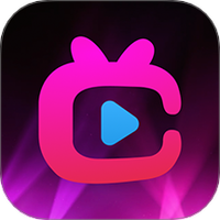 极速隐私播放器