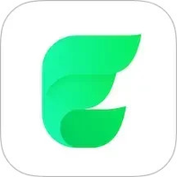 Elisi