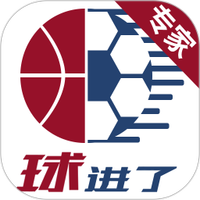 球进了专家版