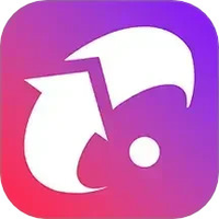 穿梭传媒