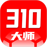 310大师