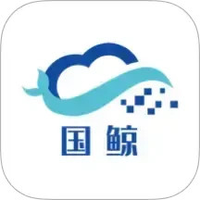 国鲸宝