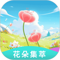 花朵集萃