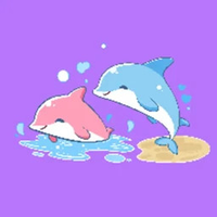 海豚圈圈