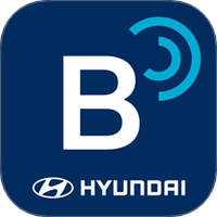 Bluelink