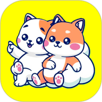 猫盒