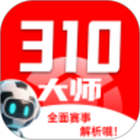 310大师