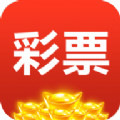 113老旧版本