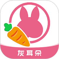 灰耳朵陪宠