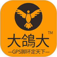 大鸽大