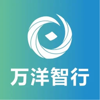 万洋智行