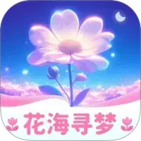 花海寻梦