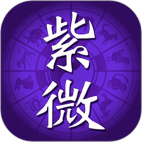 紫微斗数排盘